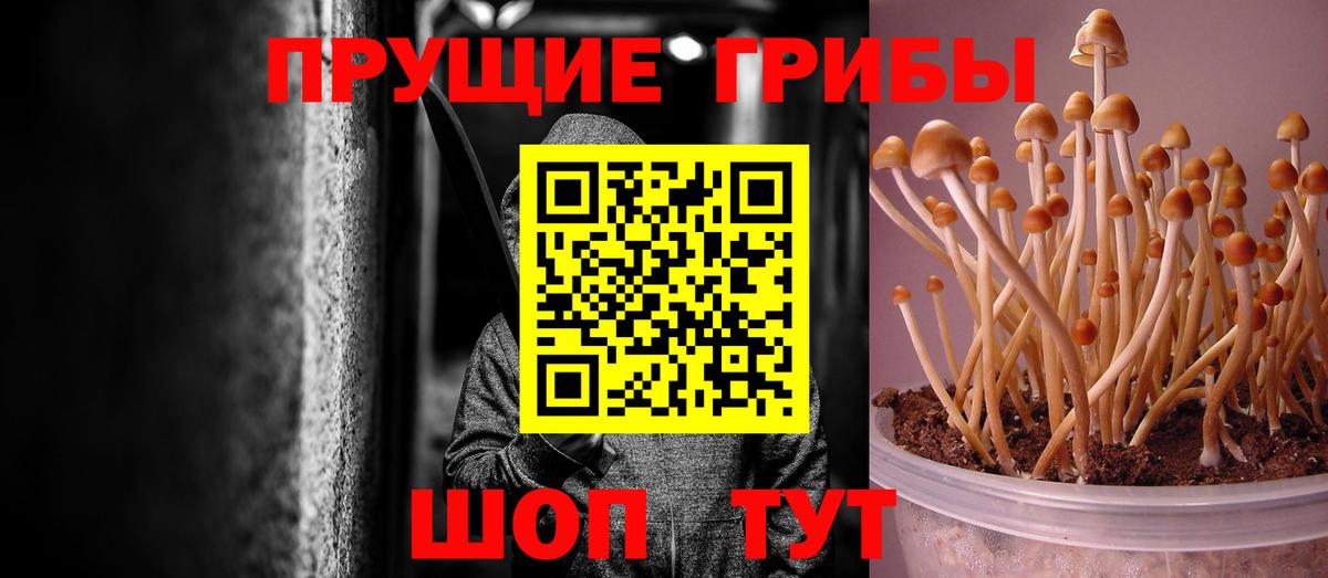 Псилоцибиновые грибы MAGIC MUSHROOMS  Вход с VPN  Малоярославец 